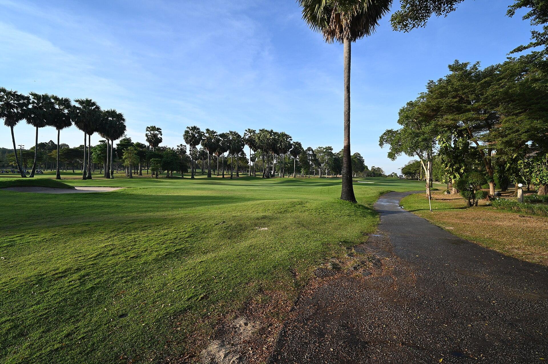 Golf course fairway lined with palm trees